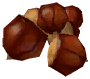Chestnut