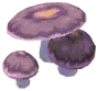 Wood Blewit