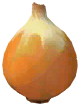 Brown Onion