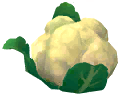 Cauliflower