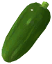Cucumber