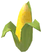 Maize