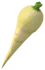 Parsnip