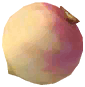 Turnip